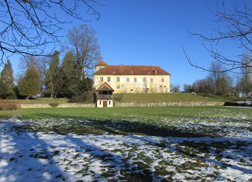 Mednarodno sodelovanje učencev fotografskega krožka