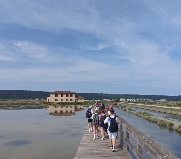 Naravoslovni dan šestošolcev